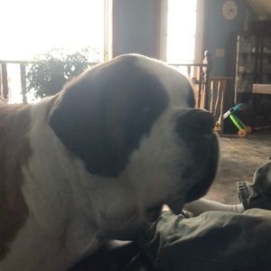 Meet your Posher, Greg